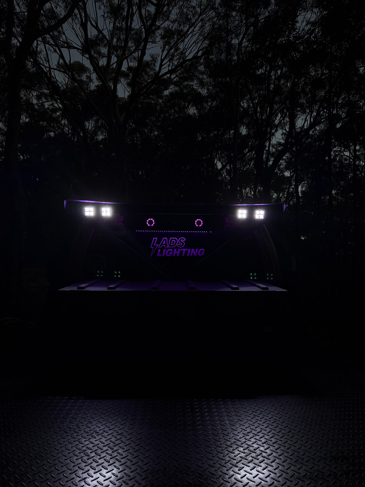 LADS party lights